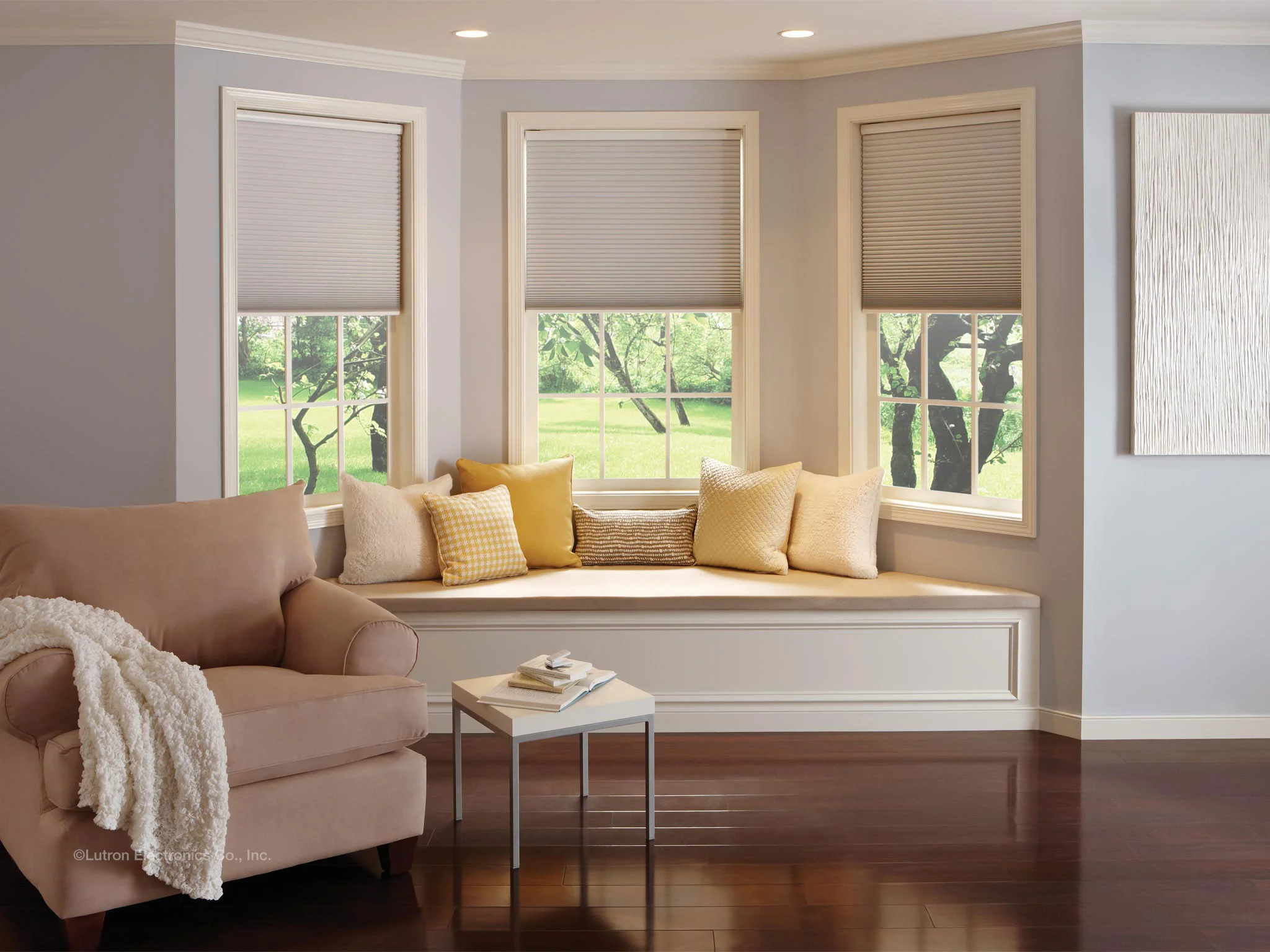 lutron honeycomb shades 10