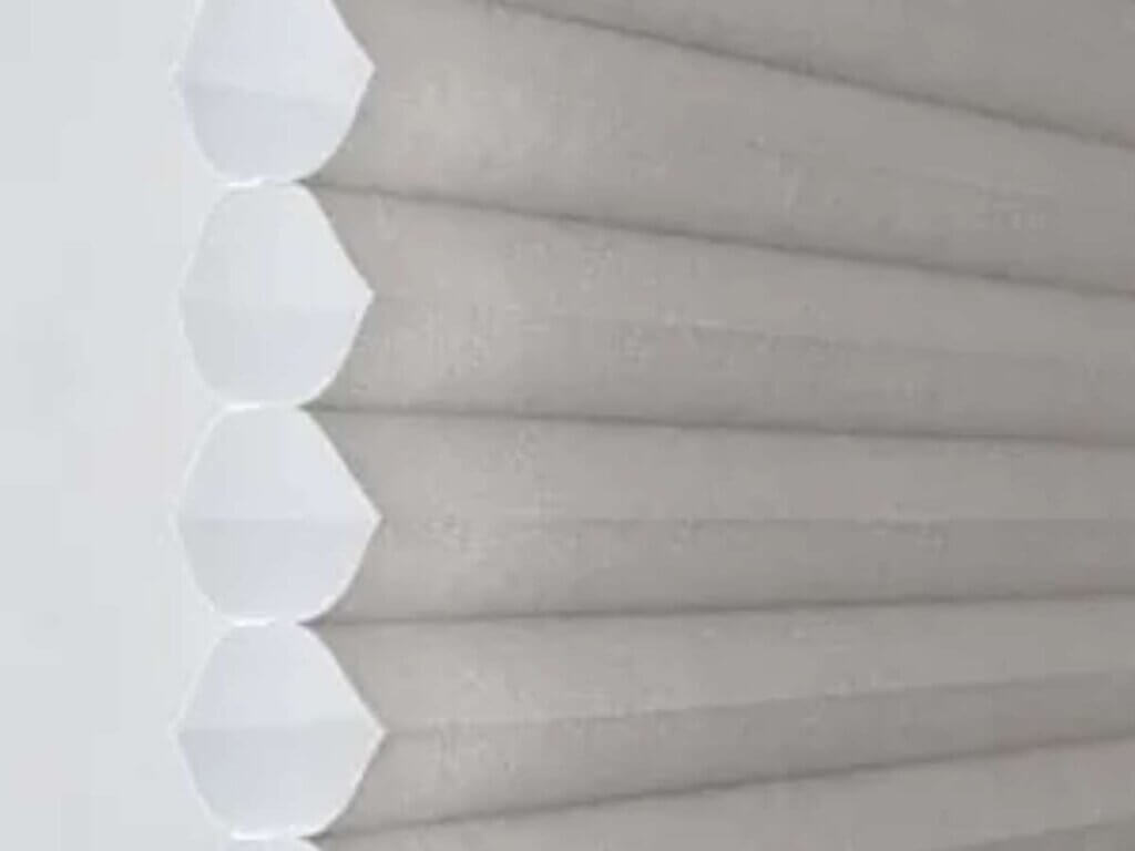 single-cell shades have one layer of cells